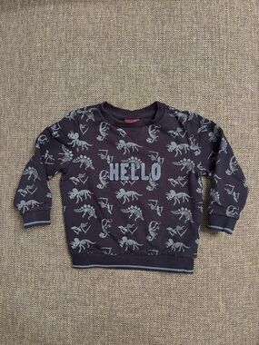 Sergent Major Boys Dinosaur Skeleton Sweatshirt Size 4 / 104cm